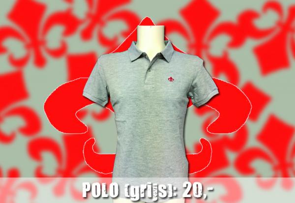 Polo grijs